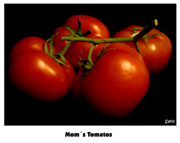 Mom´s Tomatos