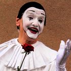 mon ami Pierrot!