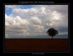 mon arbre le 19 septembre