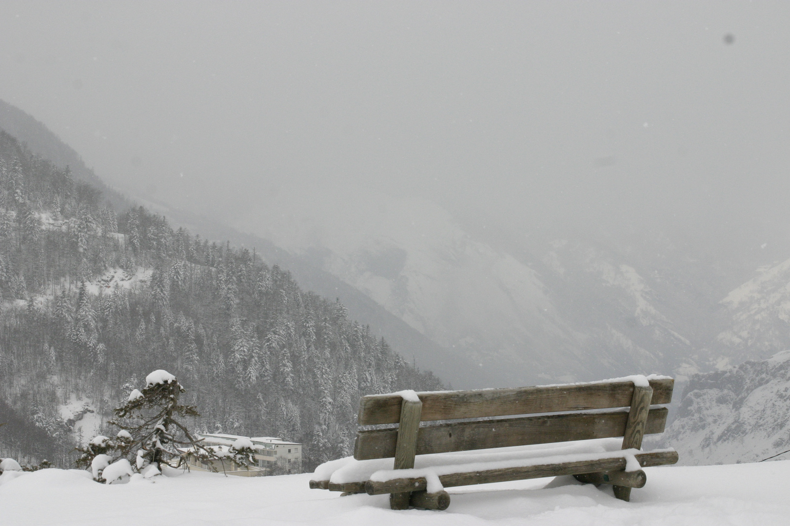 mon banc