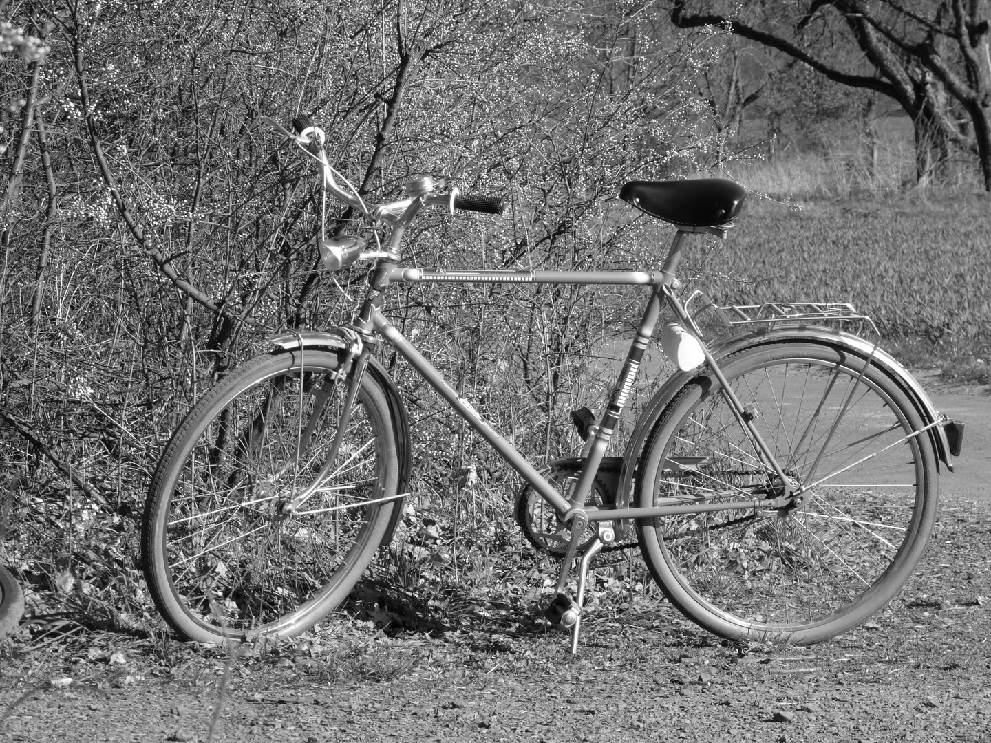 mon bicyclette