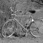 mon bicyclette