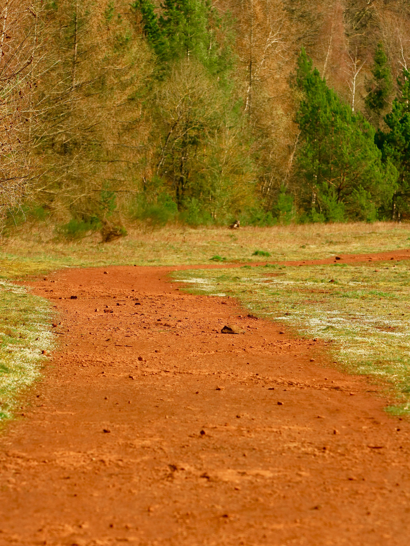 mon chemin de terre rouge