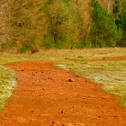 mon chemin de terre rouge