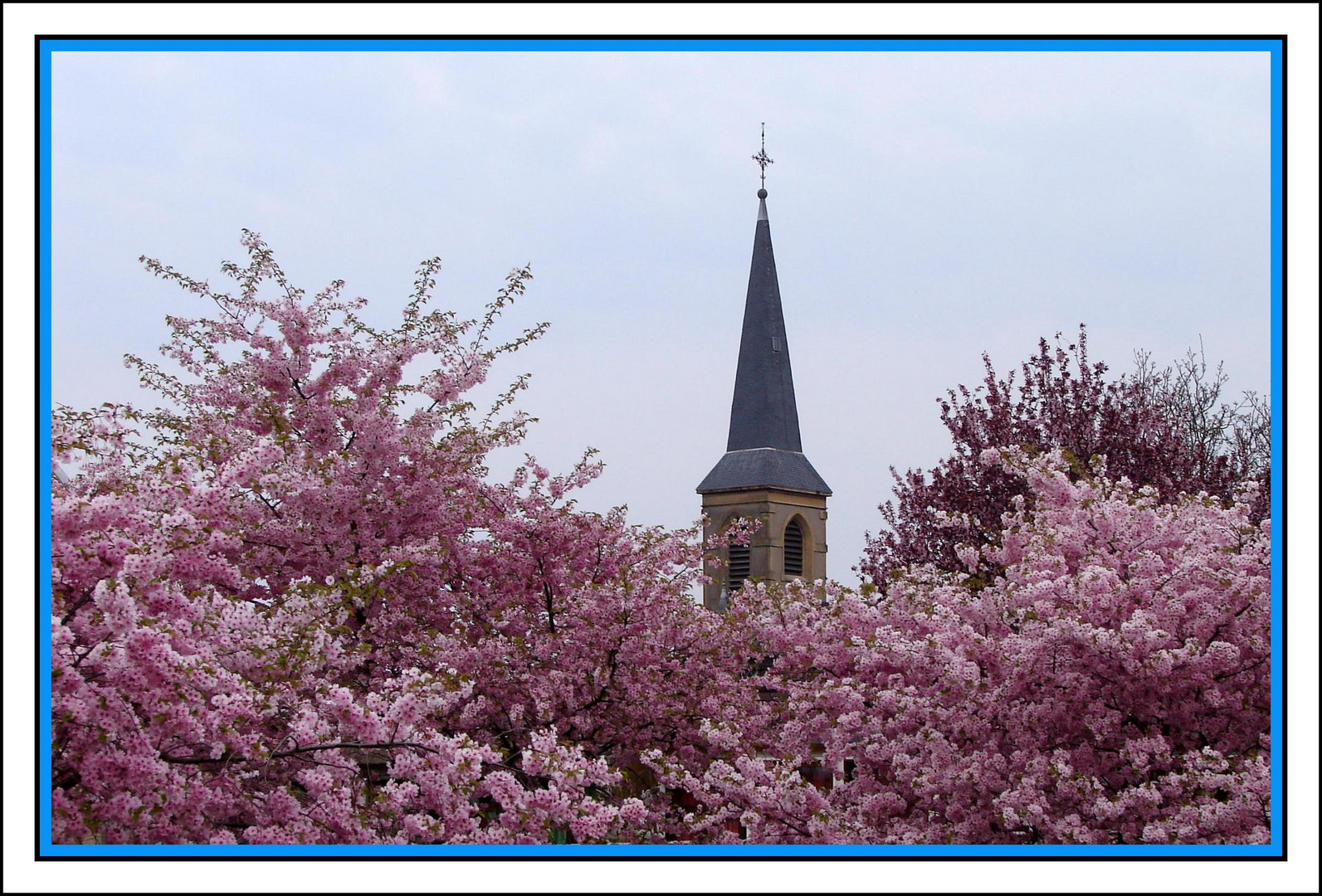 mon clocher au printemps