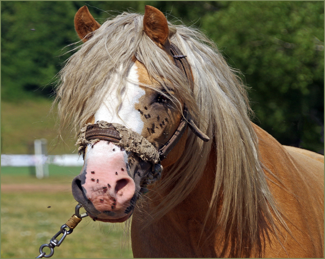 mon coiffeur est en vacances.....