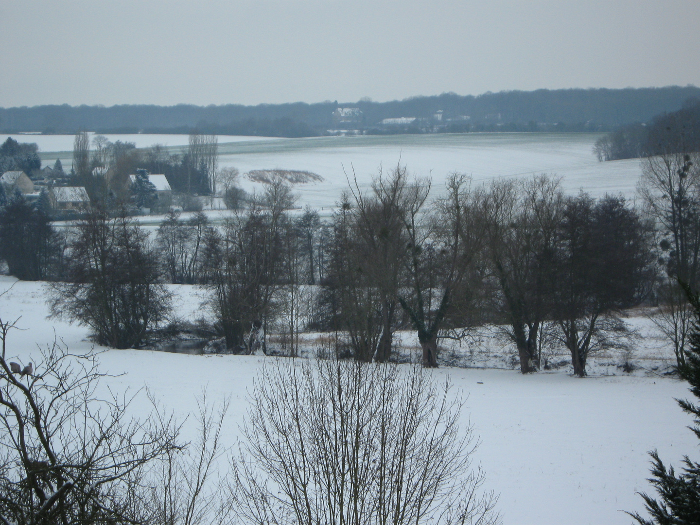 Mon coin sous la neige !