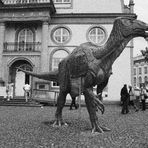 Mon iguanodon