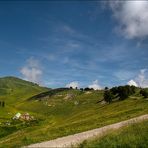 Mon jardin à 2000 m