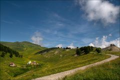 Mon jardin à 2000 m