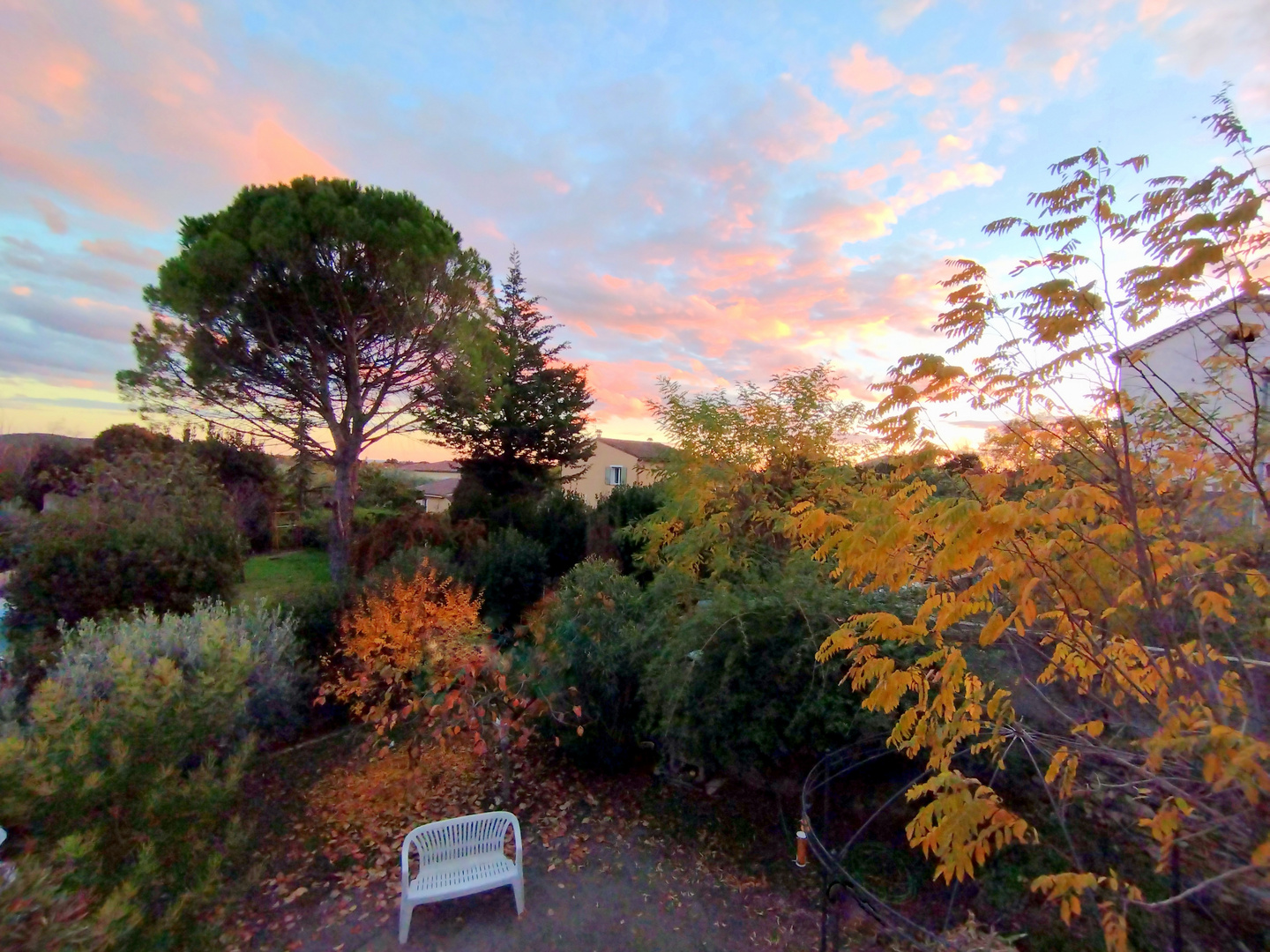 Mon jardin, ce soir !