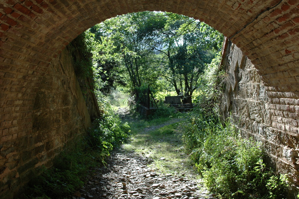 ........mon jardin d'eden