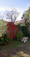 Mon jardin en automne ....