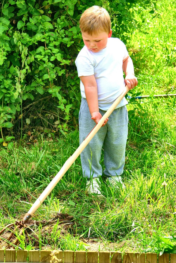 MON JARDINIER "EN HERBE"