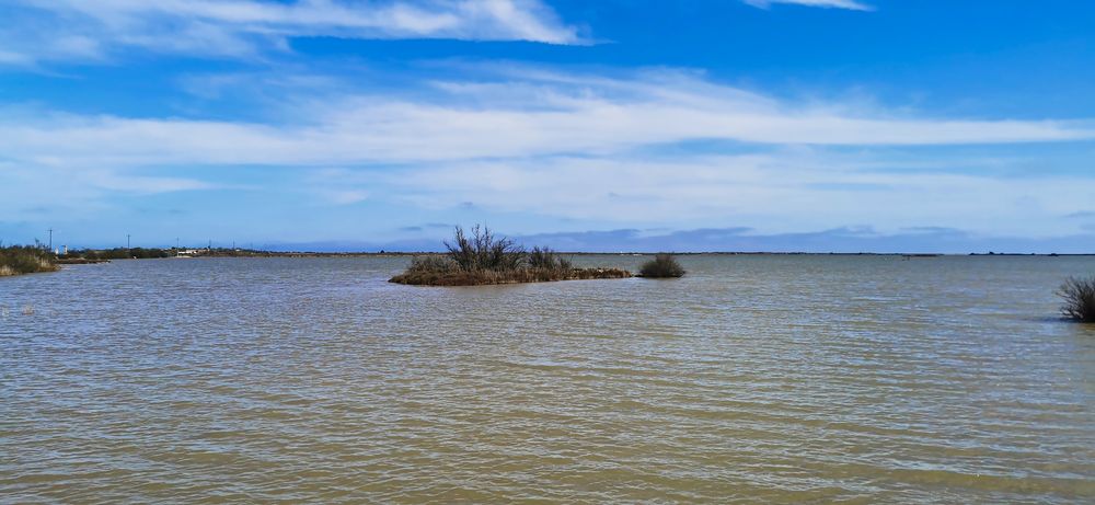 mon île