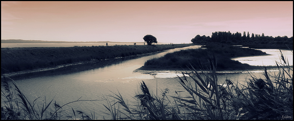 Mon marais préféré