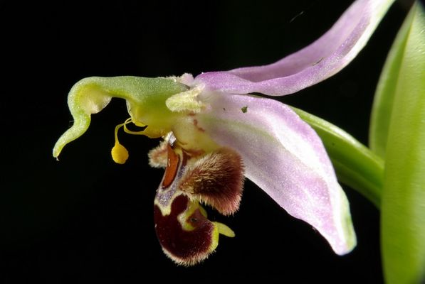 Mon meilleur profil !