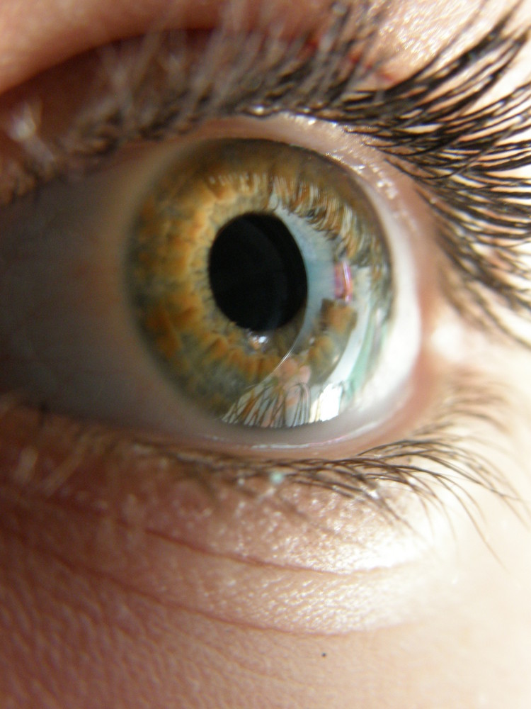 Mon oeil !