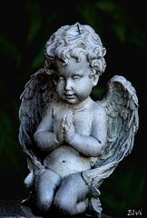 mon petit ange