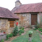 mon petit paradis