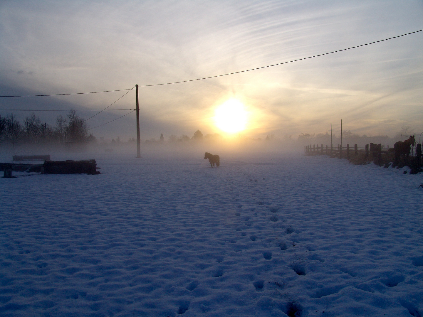 Mon petit poney, ne te perds pas dans toute cette douceur naturelle...