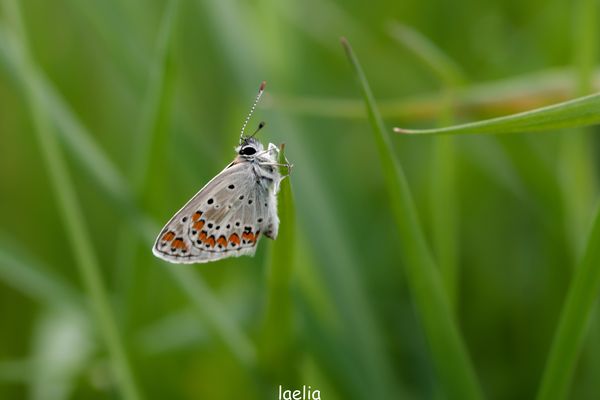 mon premier azure commun