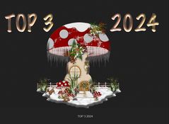 MON TOP 3 2024