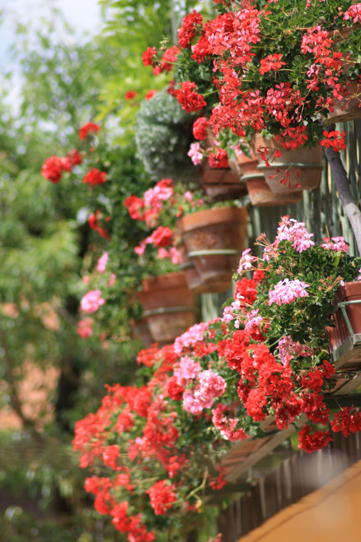 mon voisin de balcon ...