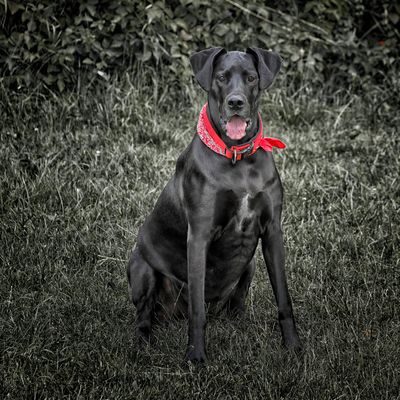 Mona bleibt nicht mehr viel Zeit.....