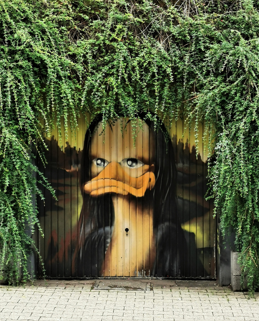 Mona Duck