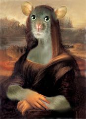 Mona Maus