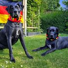 Mona & Max hat das Fußballfieber erfasst