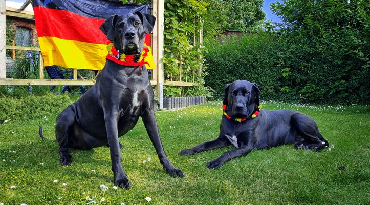 Mona & Max hat das Fußballfieber erfasst