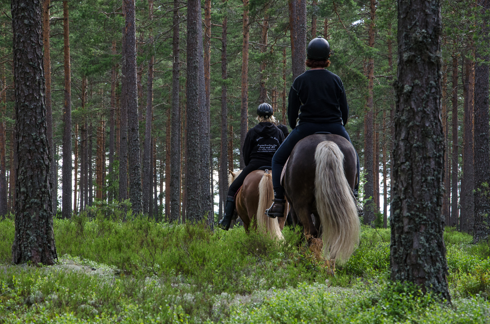 Mona und Anne - Ausritt in Schweden