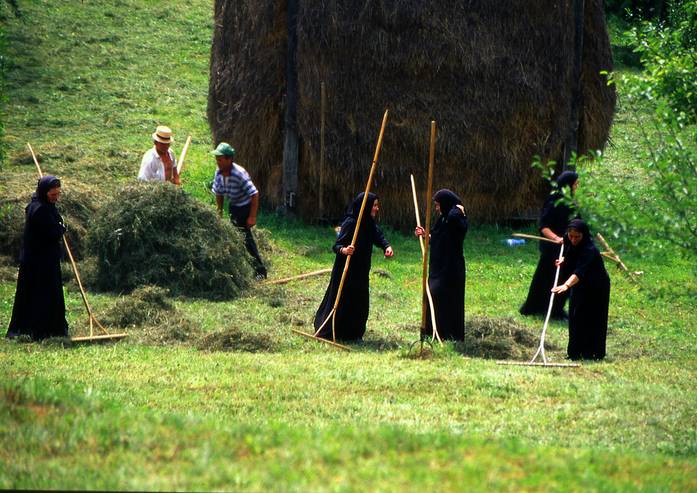 Monache al lavoro,Moldavia,Romania