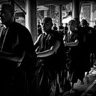 Monaci Buddhisti in fila indiana per la raccolta della questua