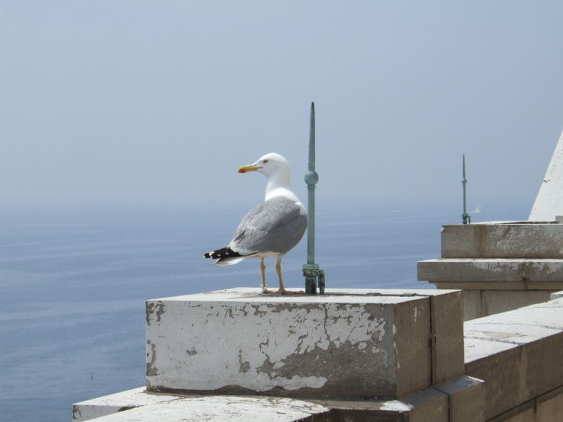 Monaco