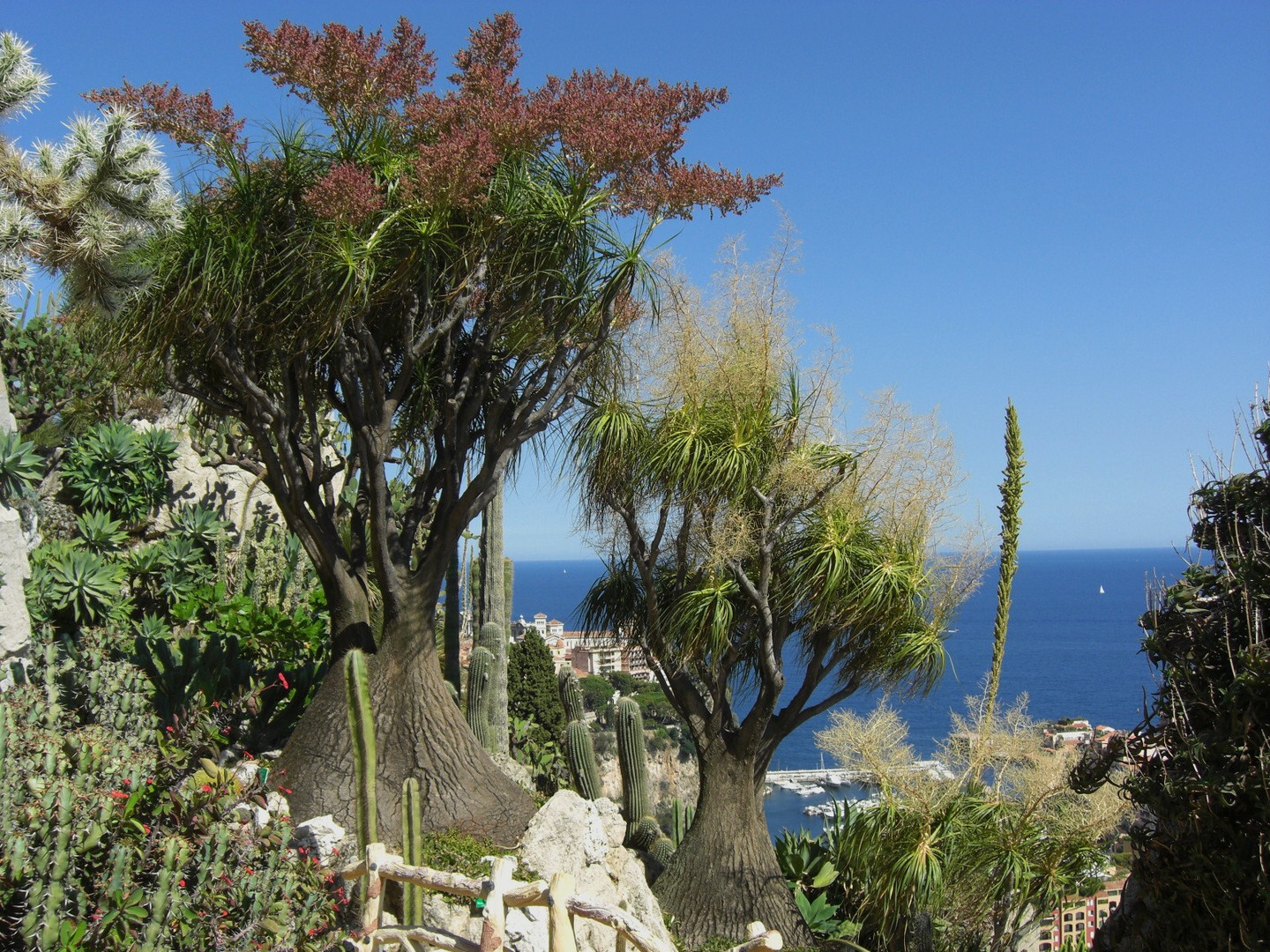 Monaco - Botanischer Garten