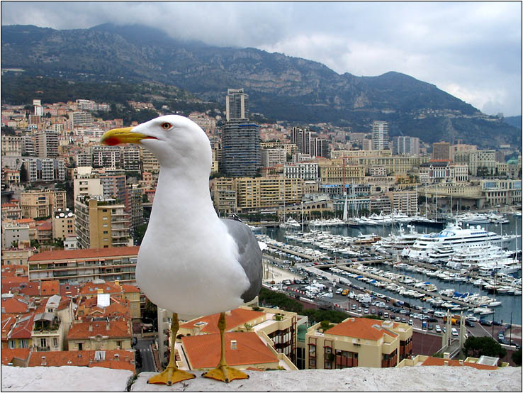 Monaco