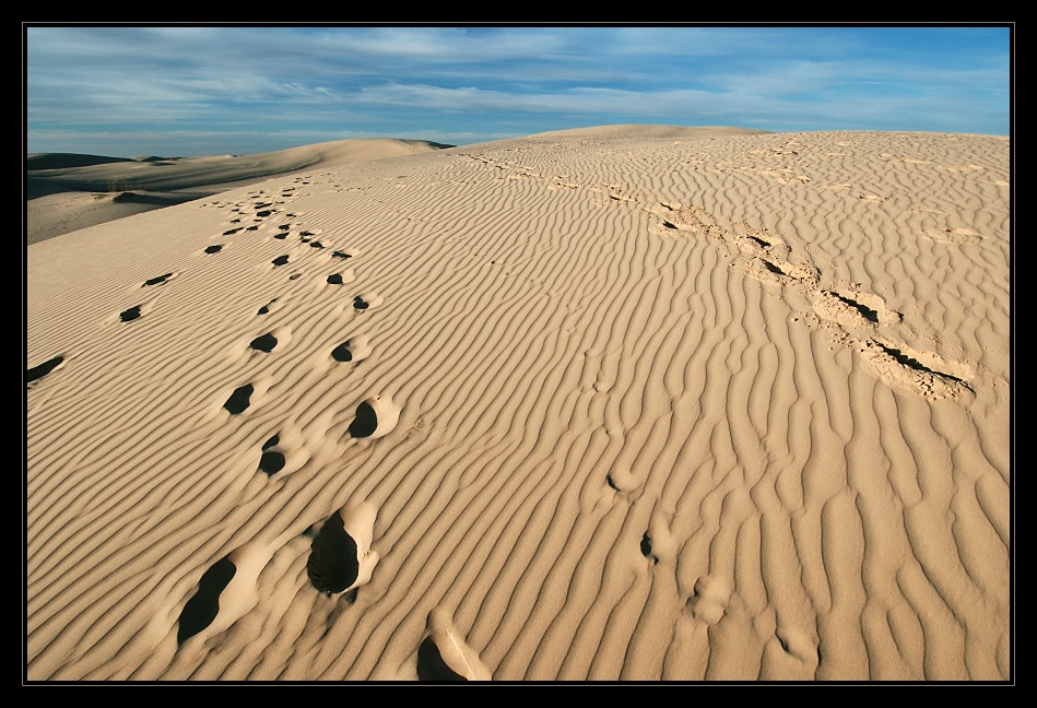 Monahans Sandhills State Park, Texas (2)