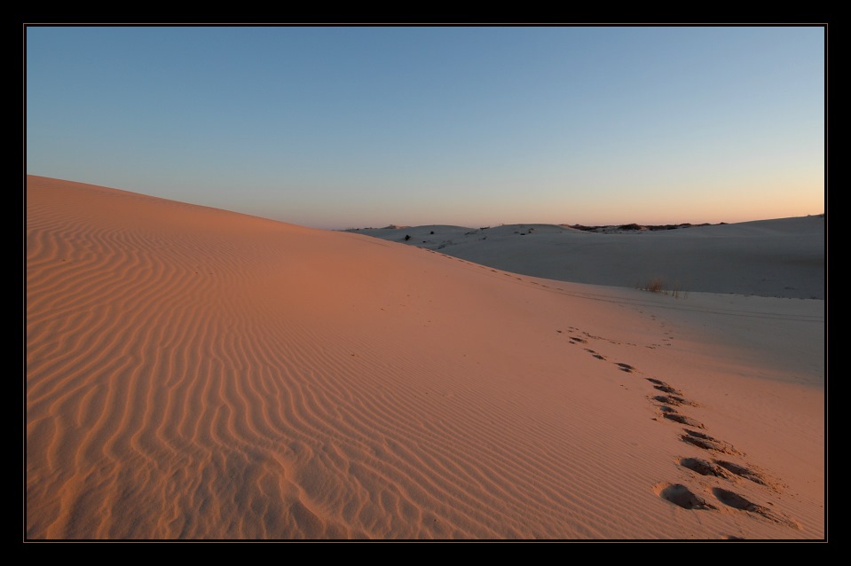 Monahans Sandhills State Park, Texas (4)