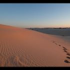 Monahans Sandhills State Park, Texas (4)