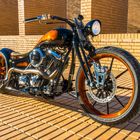 Monarch-Custombike