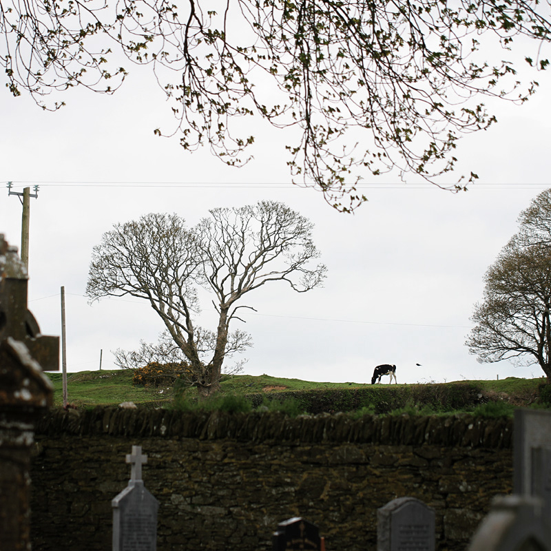 Monasterboice