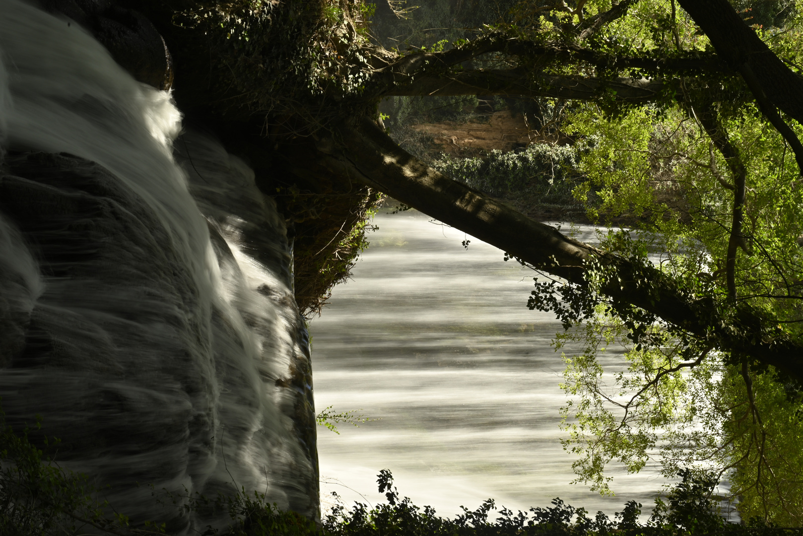 Monasterio de Piedra