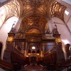 MONASTERIO DE SAN MILLAN DE LA COGOLLA III . ( LA RIOJA ).