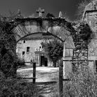 Monasterio de San Pedro de Arlanza en ruinas