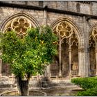 Monasterio de santas creus