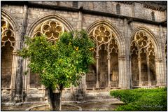 Monasterio de santas creus