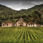 Monasterio San Antolín de Bedón